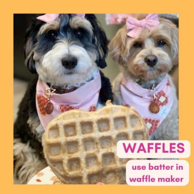 Image showing  Carrot Cake Pooch Pancakes, 14 oz.