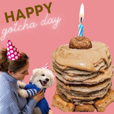 Image showing  Gimme S'mores Pooch Pancakes, 14 oz.