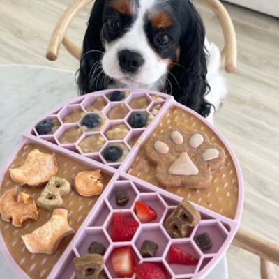 Image showing  Pumpkin Pup Buddy Budder Trio Squeeze pk., 4 oz.