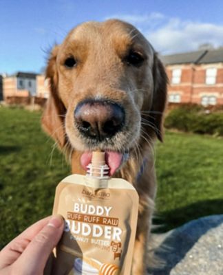 Image showing  Ruff Ruff Raw Buddy Budder Trio Squeeze pk., 4 oz.