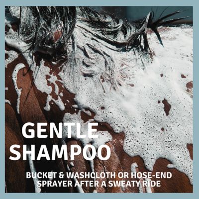 Image showing  Horse Fly TweetMint Concentrate, 16 oz.