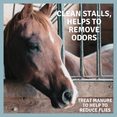 Image showing 8 th Safe Solutions Horse Fly TweetMint Concentrate, 16 oz.