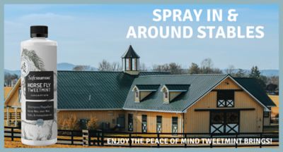 Safe Solutions Horse Fly TweetMint Concentrate, 32 oz.