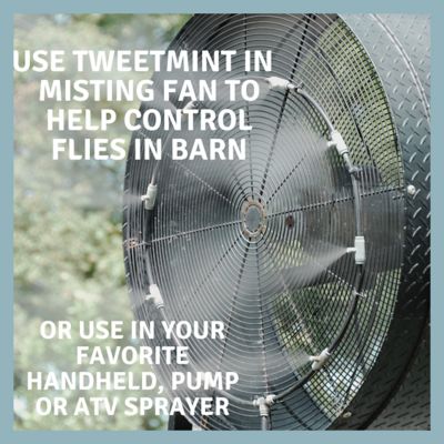Image showing 6 th Safe Solutions Horse Fly TweetMint Concentrate, 5 gal