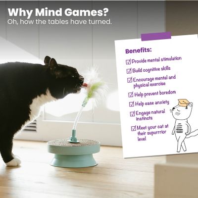 Image showing  2-in-1 Track Topper Scratch & Bat Toy