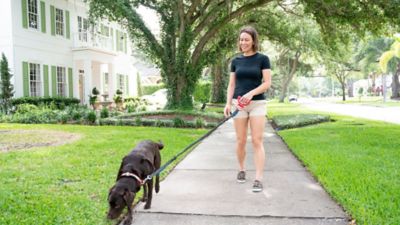 Image showing  Doggie Pal Leash Holder & Waste Bag Storage