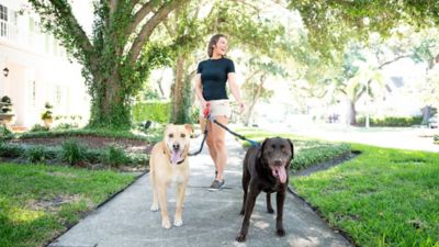 Image showing  Doggie Pal Leash Holder & Waste Bag Storage