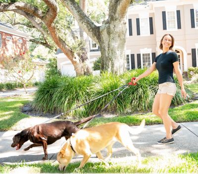 Image showing  Doggie Pal Leash Holder & Waste Bag Storage