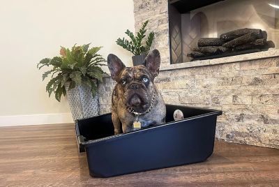 Image showing  Litter Box, Extra Large