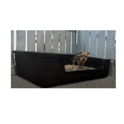 Image showing 8 th Piggy Poo and Crew Litter Box, Extra Large