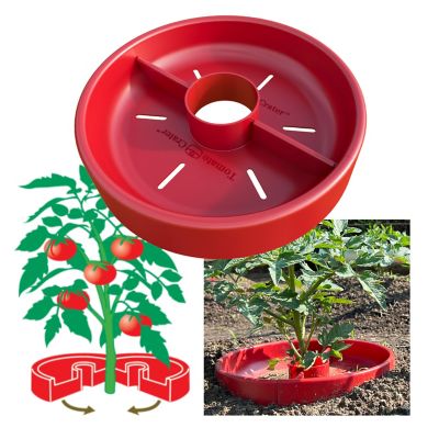 Tomato Crater Vegetable Garden Water Tray Trough All Purpose, 1 pk.