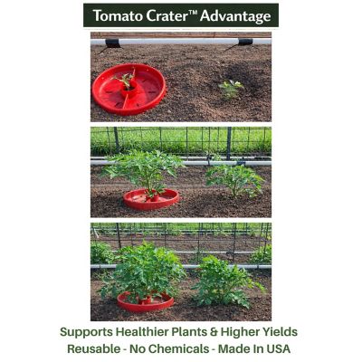 Image showing  Vegetable Garden Water Tray Trough All Purpose, 1 pk.