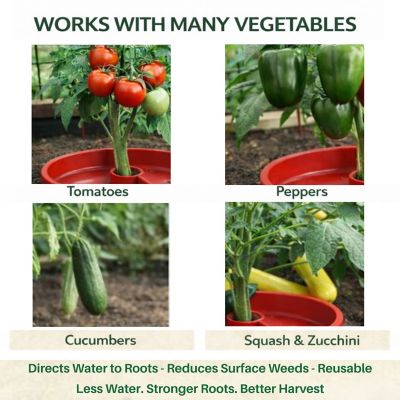 Image showing 5 th Tomato Crater Vegetable Garden Water Tray Trough All Purpose, 1 pk.