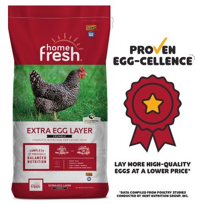 Kent Blue Seal Home Fresh Extra Egg Layer Crumble Poultry Feed, 50 lb. Bag