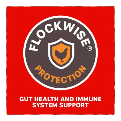 Image showing 6 th Kent Blue Seal Home Fresh Extra Egg Layer Crumble Poultry Feed, 50 lb. Bag