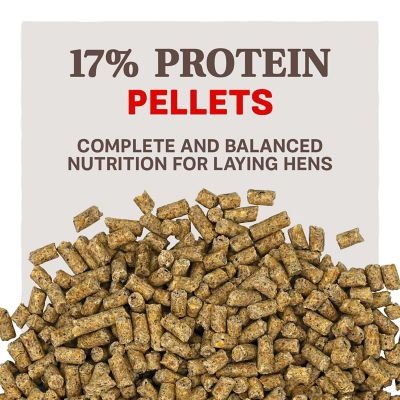 Image showing  Home Fresh Extra Egg Layer Pelleted Poultry Feed, 50 lb. Bag