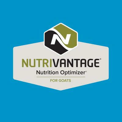 Image showing  Home Fresh 16 Grow and Finish Goat Feed