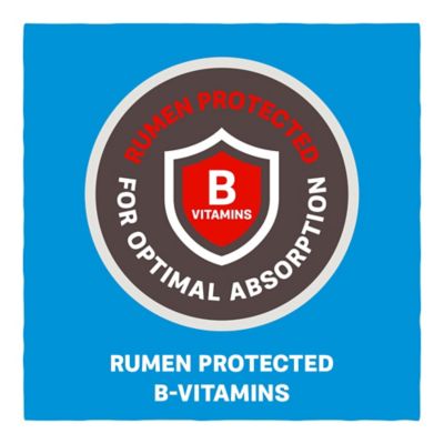 Image showing  Home Fresh 16 Grow and Finish 18DQ Goat Feed