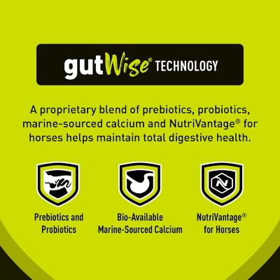 Image showing 5 th Kent Blue Seal Sentinel Safe Start Horse Feed, 50 lb. Bag