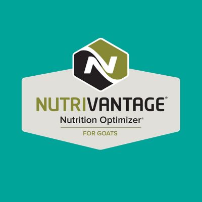 Image showing  Home Fresh Goat Herd 18 Goat Feed