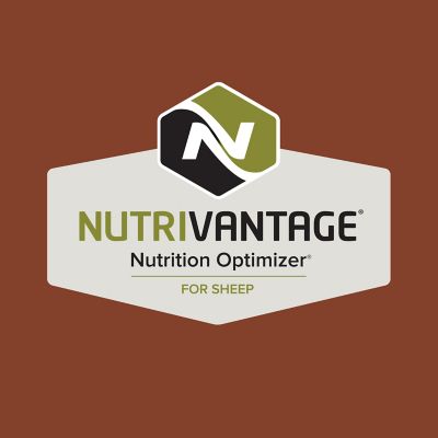 Image showing  Home Fresh Shepherd 16