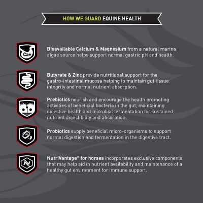 Image showing  Sentinel Care Gastric Support Pelleted Horse Feed, 35 lb. Bag