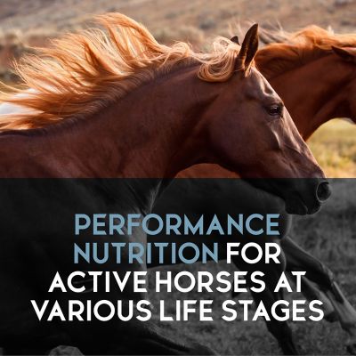 Image showing  Inspire PEAK Performance 14 Pellet