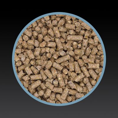 Image showing  Inspire PEAK Performance 14 Pellet