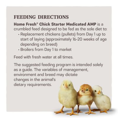 Image showing  Home Fresh Starter Crumble AMP Poultry Feed, 50 lb. Bag