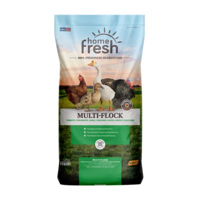 Image showing  Home Fresh Multi Flock Starter Grower Poultry Feed, 25 lb. Bag