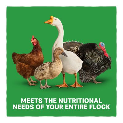 Image showing 5 th Kent Blue Seal Home Fresh Multi-Flock Starter Grower Poultry Feed, 25 lb.