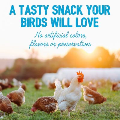 Image showing  Home Fresh Chicken Chatter