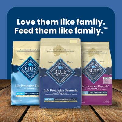 Image showing 8 th Blue Buffalo Life Protection All-Natural Adult Chicken and Brown Rice Recipe Dry Dog Food
