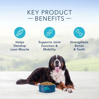 Image showing 4 th Blue Buffalo Life Protection Formula Natural Adult Large Breed Dry Dog Food, Chicken 24 lb.