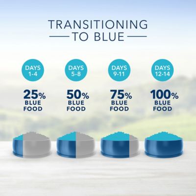 Image showing 5 th Blue Buffalo Life Protection Formula Natural Adult Large Breed Dry Dog Food, Chicken 24 lb.
