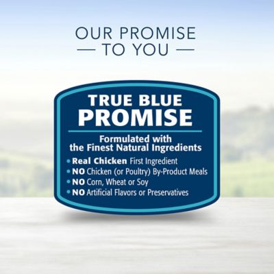 Image showing 6 th Blue Buffalo Life Protection Formula Natural Adult Large Breed Dry Dog Food, Chicken 24 lb.