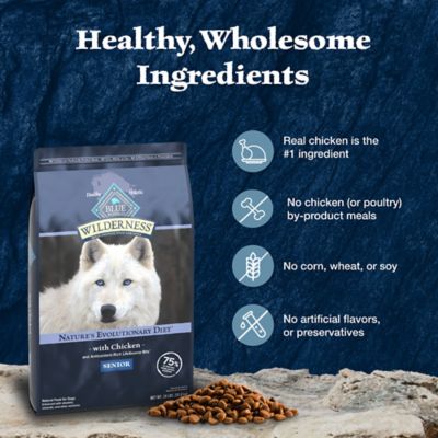 Image showing 5 th Blue Buffalo Wilderness Senior High-Protein Chicken Recipe Dry Dog Food