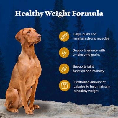 Image showing  Adult High-Protein Healthy Weight Chicken Recipe Dry Dog Food