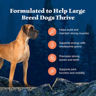 Image showing  Adult Large Breed High-Protein Chicken Recipe Dry Dog Food