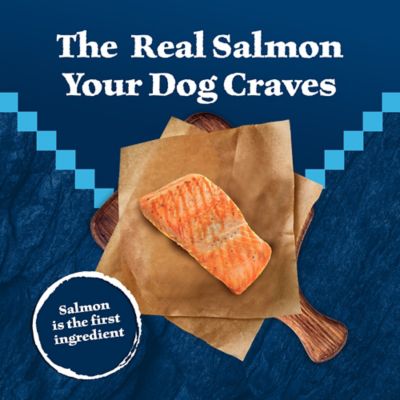 Image showing  Adult High-Protein Natural Salmon Recipe Dry Dog Food