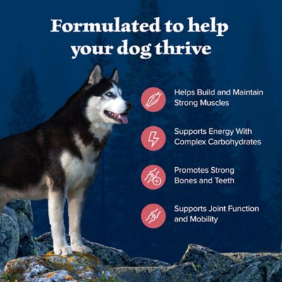 Image showing  Adult High-Protein Natural Salmon Recipe Dry Dog Food