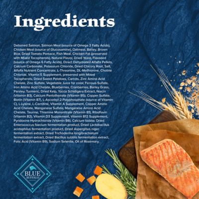 Image showing  Adult High-Protein Natural Salmon Recipe Dry Dog Food