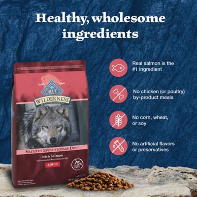 Image showing 5 th Blue Buffalo Wilderness Adult High-Protein Natural Salmon Recipe Dry Dog Food