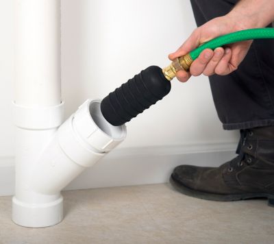 Image showing  Large Bladder