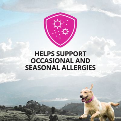 Image showing  Allergy with Immune Support Oil Supplement for Dogs, 16 oz.