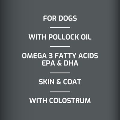 Image showing  Allergy with Immune Support Oil Supplement for Dogs, 16 oz.