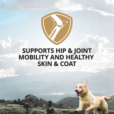 Image showing  Collagen with Salmon Oil Soft Chewable Supplement for Dogs, 90 ct.