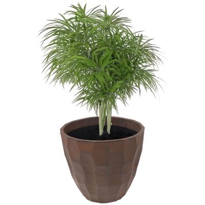 Sunnydaze Decor Indoor/Outdoor Pebbled Polyresin Flower Pot Planter, 15.75 in., Dark Brown