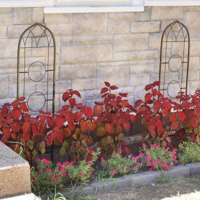 Image showing  Steel Wire Arched Climbing Plants Wall Trellis with Flowerpot Supports - 48 in. H - Black - 2-Pack