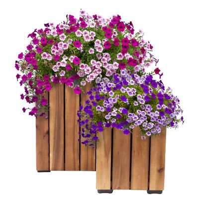 Sunnydaze Decor Indoor/Outdoor Square Acacia Wood Planter Box with Vertical Planks - 2pk